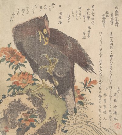 Orel na skále, kvetoucí azalky, ca. 1800. od Kubo Shunman