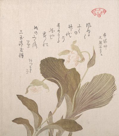 Hotei Flowers, 19. století. od Kubo Shunman