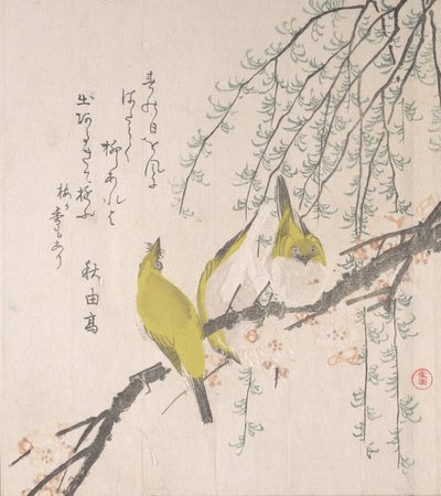 Japonští běloocí se švestkou a vrbou..., ca. 1810. od Kubo Shunman