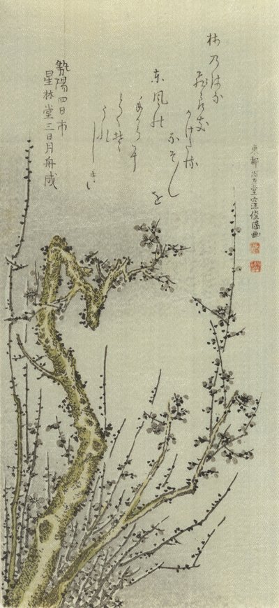 Stará švestka, 1796. od Kubo Shunman