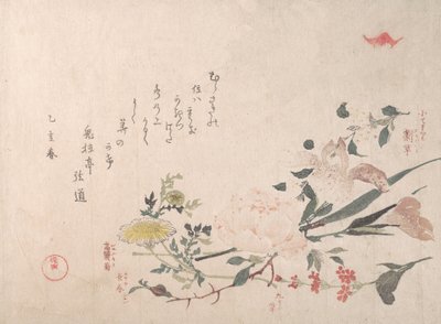 Růže, Iris, Primrose a Daisy, 1815. od Kubo Shunman
