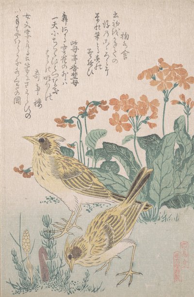 Skylarks and Primroses..., ca. 1805-10. od Kubo Shunman