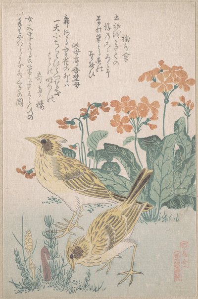  od Kubo Shunman