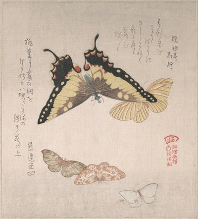  od Kubo Shunman