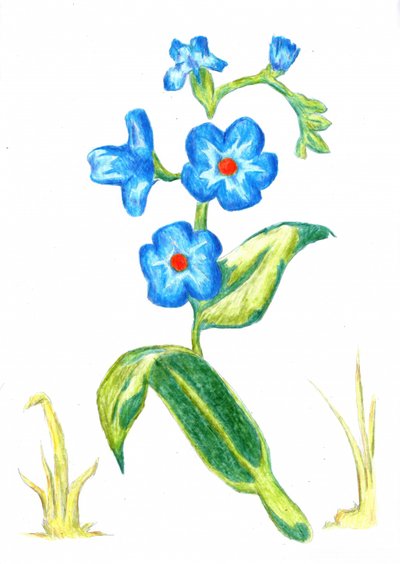  od Kulik