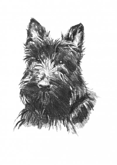  od Kulik