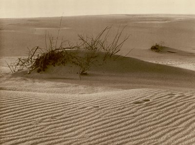 Bludná duna na Kurské kose severně od Rossittenu; Posunující se duna jedna Kurská písečná kosa na severu Rossittenu (černobílá fotografie) od Kurt Hielscher