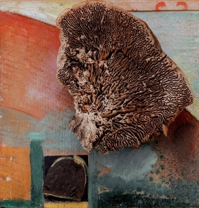 Bez názvu (obrázek Merz s korálem) od Kurt Schwitters