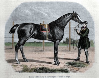 Anglický dostihový kůň Eclipse. Ilustrace Rouyer. od L. (after) Rouyer