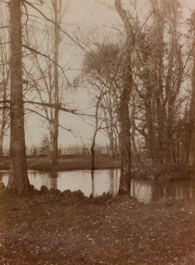 Album první světové války ve Friuli-Venezia Giulia: rybník v parku Villa Brazza, Hospital of War n. 17, Soleschiano Manzano od L. Verdiani