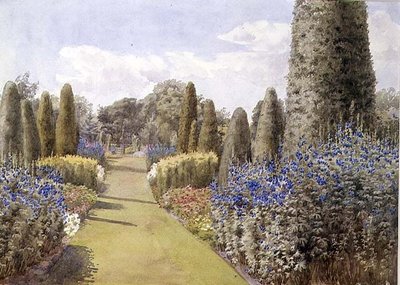 Herbaceous Border (akvarel na papíře) od Lady Alice Willoughby