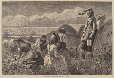 Sběr bobulí od Lagarde after Winslow Homer