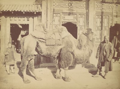 Peking. z. 923, 1867. od Lai Fong.
