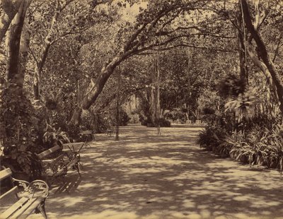 Zahrada paláce Sukh-Vilas, 1880-90. od Lala Deen Dayal