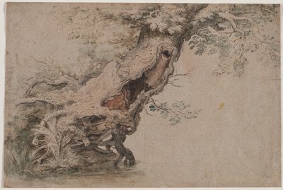 Hollow Tree, po Roelant Savery, po roce 1670. od Lambert Doomer