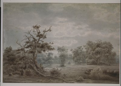Lesní krajina z Düsseldorfu od Lars Hertervig