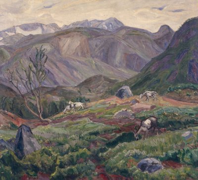 Z Leirungsdalen od Lars Jorde
