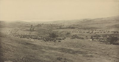[Házení Rangers na Roundup] od Laton Alton Huffman