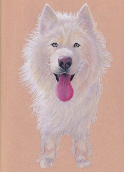 Snowky, 2021 (barevná tužka na tónovaném papíře) od Laurie Michaels