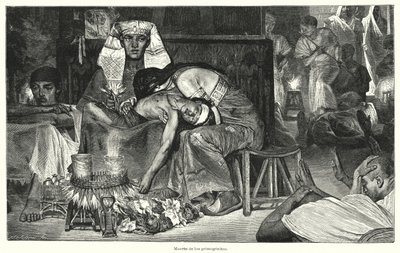 Smrt prvorozených: poslední z deseti egyptských ran (litho) od Lawrence (after) Alma Tadema