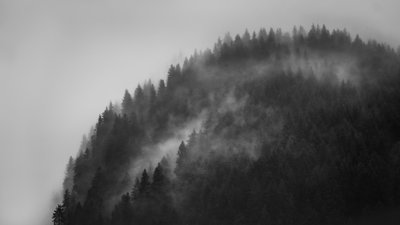 Greenwitch Way, 2022 (foto) od Lee Cooper