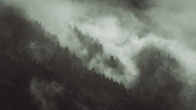 Tangled, 2022 (foto) od Lee Cooper