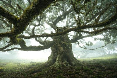 Les naslouchá, 2023 (foto) od Lee Cooper