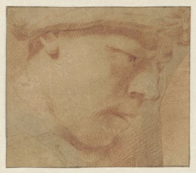 Hlava chlapce, vpravo od Leendert van der Cooghen (manner of)