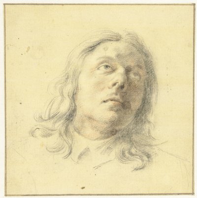 Hlava muže, vzhlédl od Leendert van der Cooghen