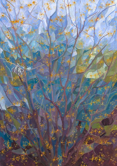 Vilín v květu, 2015 od Leigh Glover