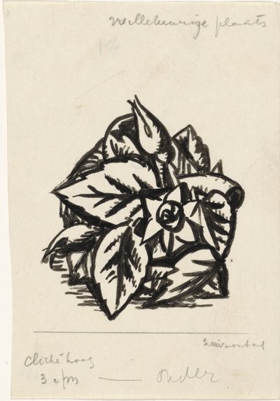 Květiny od Leo Gestel