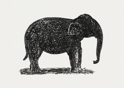 Elephant (cca 1891–1941) od Leo Gestel