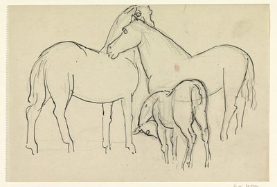 Dva koně a hříbě od Leo Gestel