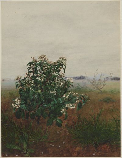  od Léon Bonvin