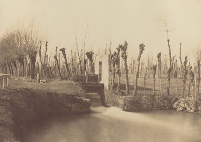 Krajina, Montebello,c. 1860 (foto) od Léon Gérard