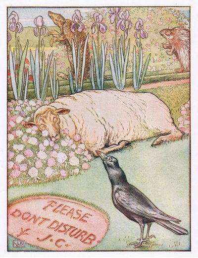 A ovce šly spát, ilustrace z 