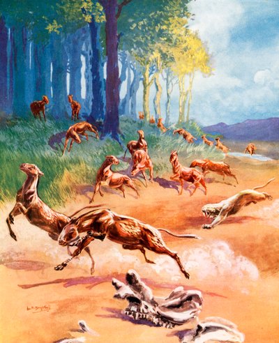 Scéna z vývoje koně (barevná litografie) od Leonard Robert Brightwell