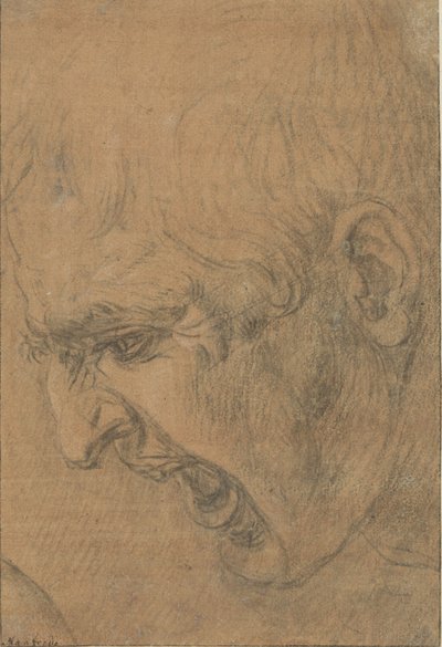 Hlava křičícího muže od Leonardo da (follower of) Vinci