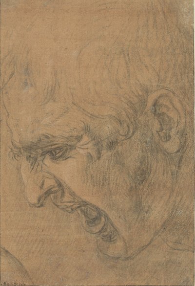 Hlava křičícího muže od Leonardo da Vinci (follower of)