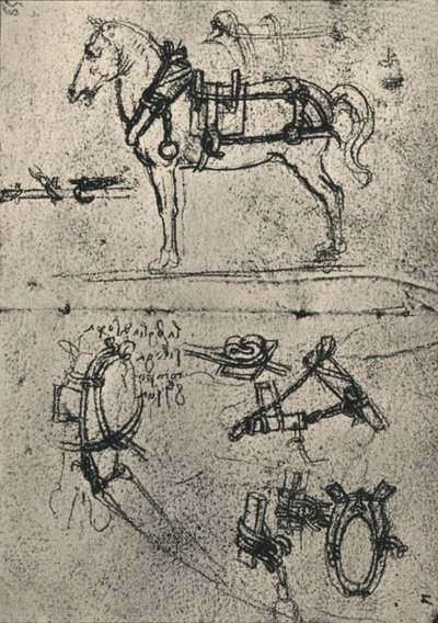 A Harnessed Cart-Horse and Studies of Harness, c1480 1945 od Leonardo da Vinci