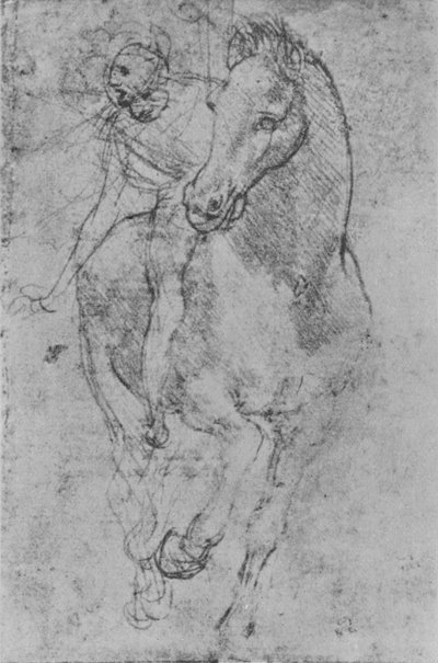 Jezdec, c1480 1945 od Leonardo da Vinci