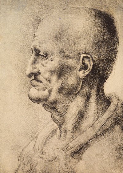 Muž zobrazený z profilu, kresba Leonarda da Vinci, zachovaná v Místnosti kreseb a tisků, Galerie Uffizi, Florencie. od Leonardo da Vinci