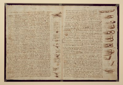 Stránka z Codexu Leicester, 1508-12 (sépiový inkoust na lněném papíře) od Leonardo da Vinci