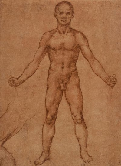 Nahé studie stojícího muže, čelní od Leonardo da Vinci