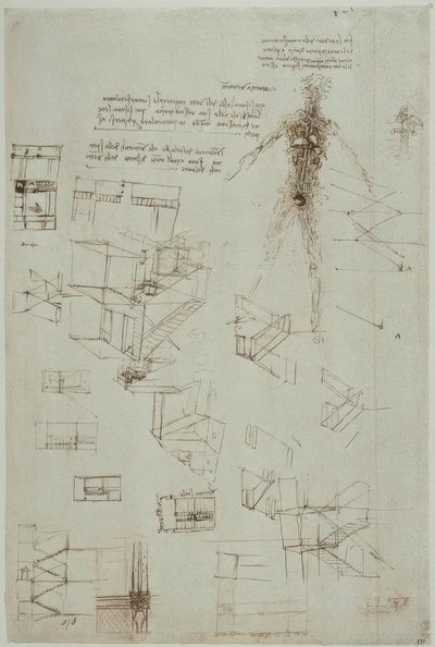 Anatomiestudien od Leonardo da Vinci