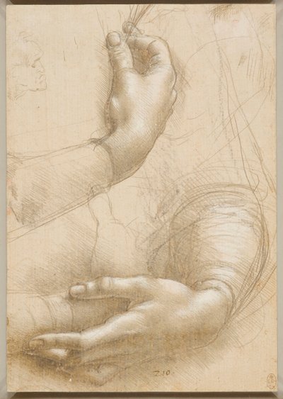 Paže a ženské ruce, c. 1480. od Leonardo da Vinci