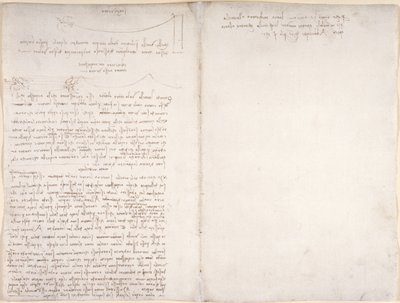 Arundel 263, f.166v, f.163 Poznámky a diagramy o letu ptáků, z 