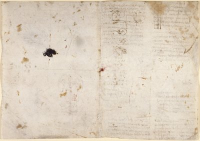 Arundel 263, f.225v, f.230 Kresby mechanických sil a sil, perkuse, gravitace, pohybu, optiky a astronomie, s různými aritmetickými a geometrickými návrhy (pero a inkoust na papíře) od Leonardo da Vinci
