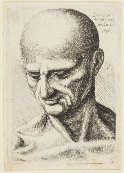 Plešatý muž od Leonardo da Vinci