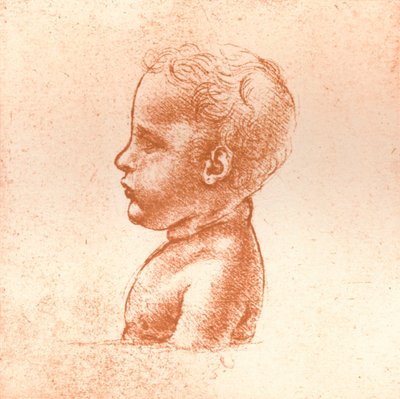 Busta chlapce, c1472-c1519 1883 od Leonardo da Vinci